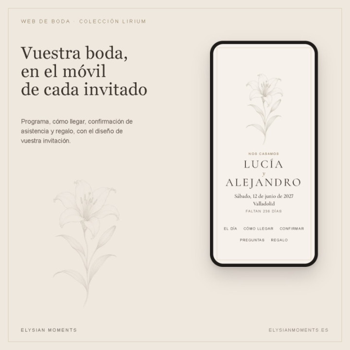 Web de boda