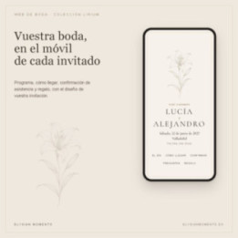 Web de boda
